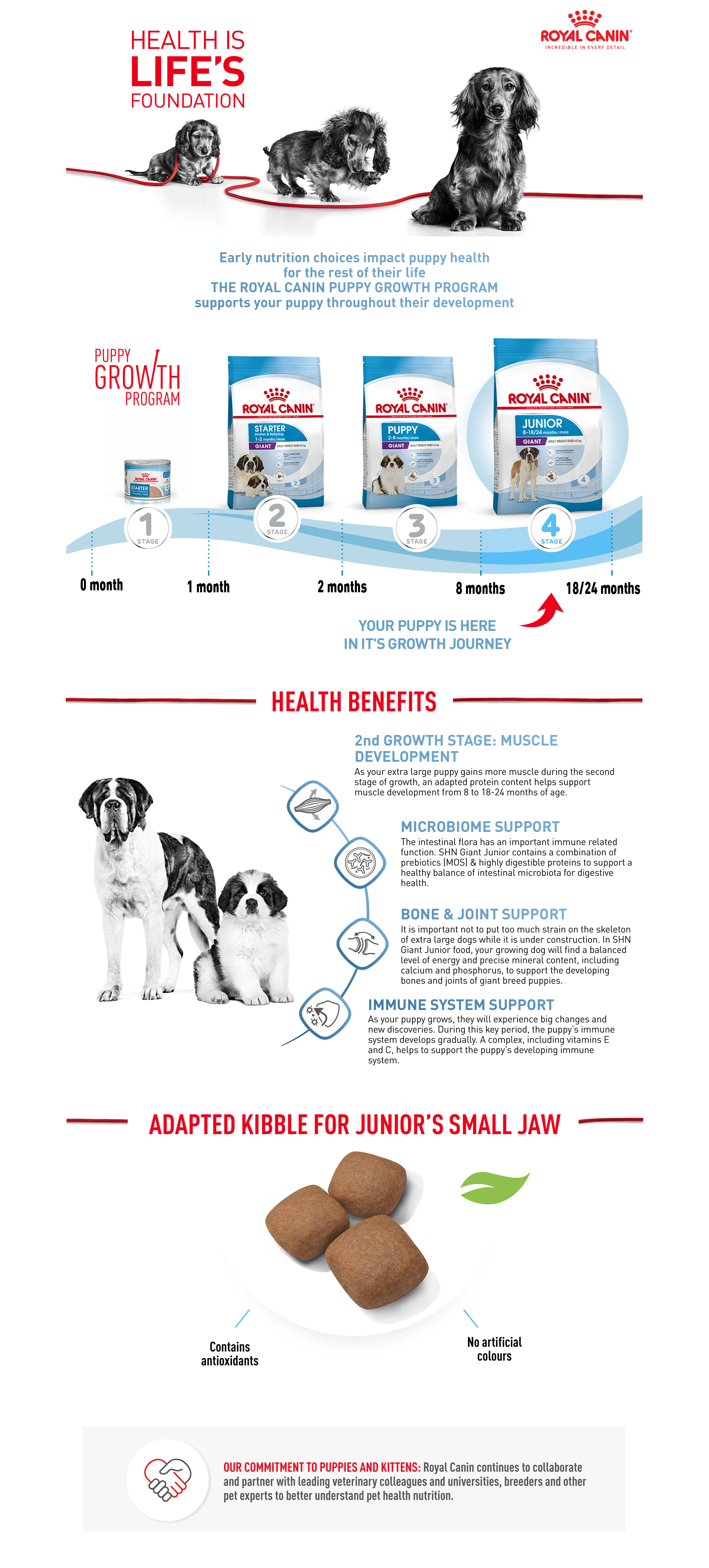 Royal canin giant breed puppy food sale